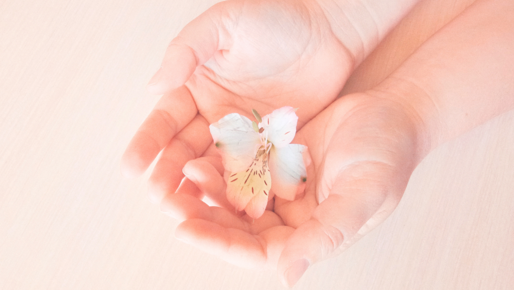 aboutusミッション画像🌸